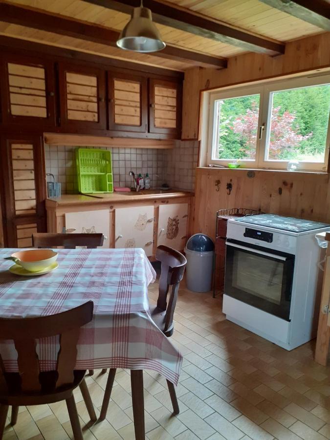 Au Petit Coin Western Holiday home Le Hohwald